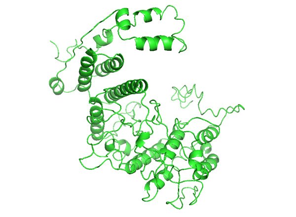 ATF2: Activating Transcription Factor 2