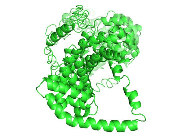 CTNNB1: Catenin beta 1 - Bioinformatics For Dentistry