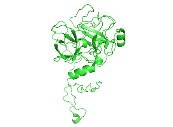 KLK5: Kallikrein related peptidase 5