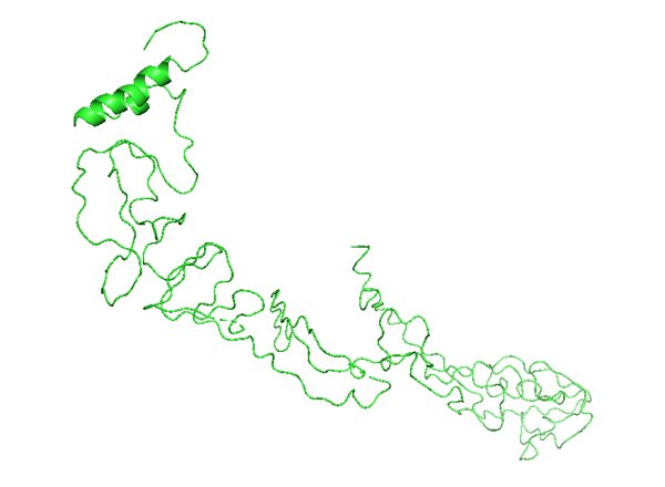 CCN3: Cellular communication network factor 3