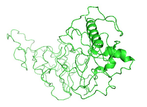 TNFRSF11B: TNF receptor superfamily member 11b
