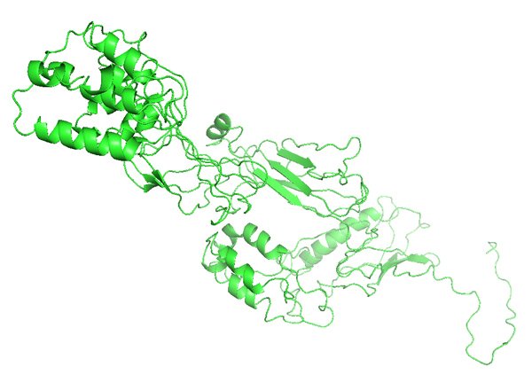 SMPD3: Sphingomyelin phosphodiesterase 3 - Bioinformatics For Dentistry