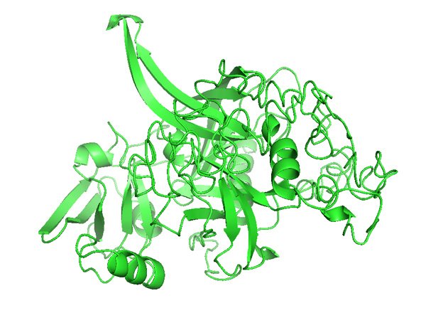 HTRA1: HtrA serine peptidase 1 - Bioinformatics For Dentistry