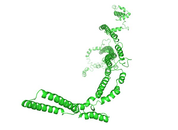 STIM1: Stromal interaction molecule 1