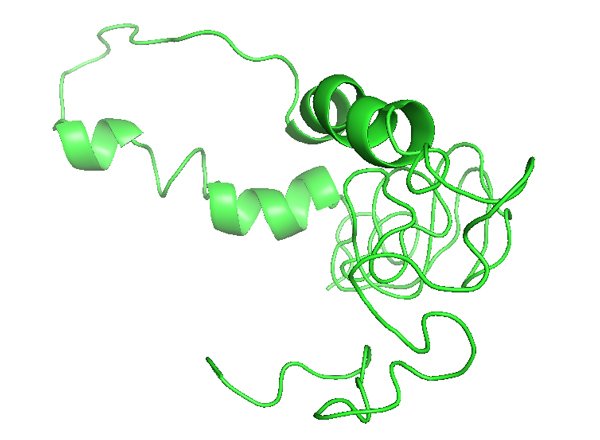 CALCA: Calcitonin related polypeptide alpha